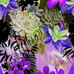 Colour:D