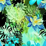 Colour:K