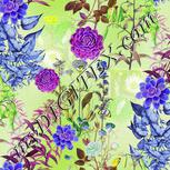 Colour:D