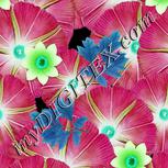 Colour:C