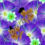 Colour:D