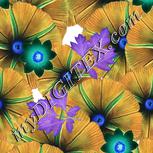 Colour:F