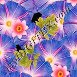 Colour:J