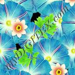 Colour:K