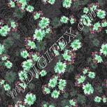 Colour:D
