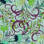 Colour:C