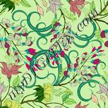 Colour:K