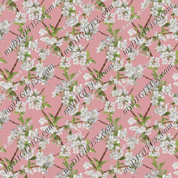 Blossom_4x_Noon