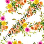 Colour:A