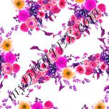 Colour:B