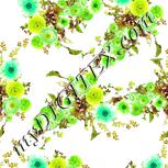 Colour:D