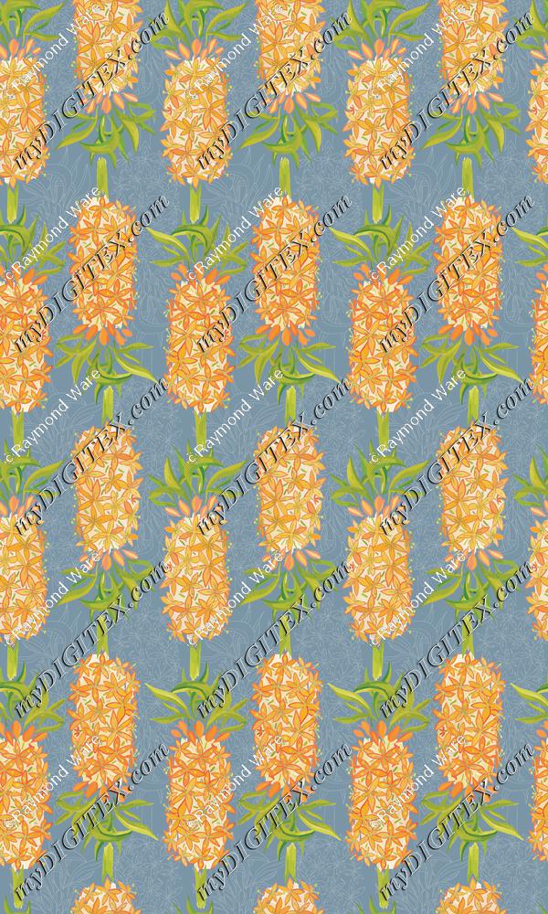 Eucomis_6x_Orig