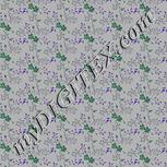 Colour:F