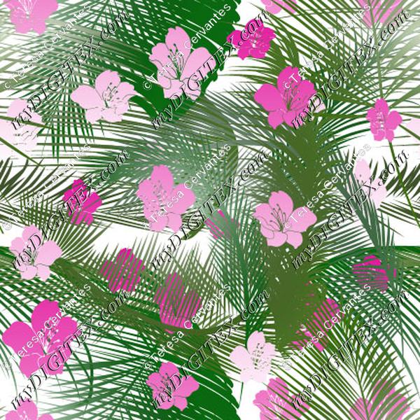 Tropical Hibiscus