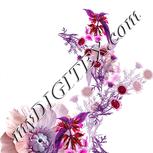 Colour:B