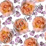 Colour:A