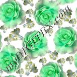 Colour:C