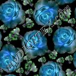 Colour:F