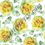 Colour:K