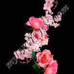 Colour:J