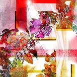 Colour:A