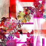 Colour:B