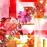 Colour:J