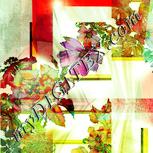 Colour:K