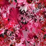Colour:B