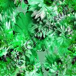 Colour:C