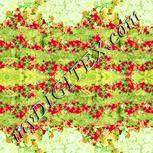 Colour:K