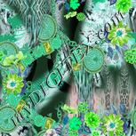 Colour:C