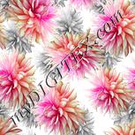 Colour:B