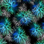 Colour:F