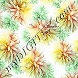 Colour:K