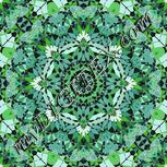 Colour:C