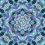 Colour:F