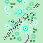 Colour:C