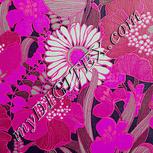 Colour:B