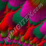 Colour:B