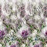 Colour:D