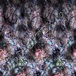 Colour:F