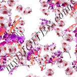 Colour:B