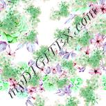 Colour:C