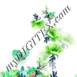 Colour:C