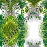 Colour:A