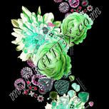 Colour:C