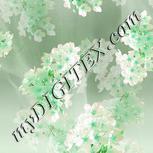 Colour:C