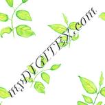 Colour:K