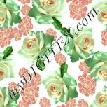 Colour:K